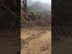 Tipo idraulico WuYing Grappper per escavatore, Grappper per legna a cinque artigli, abito per escavatore